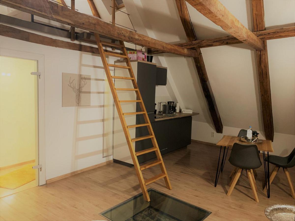 Lemperdenkmal Muensterアパートメント エクステリア 写真